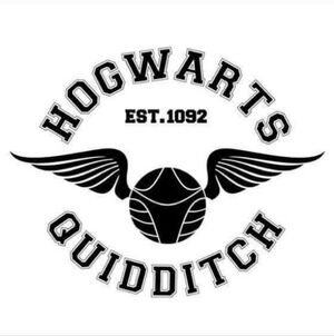 Harry Potter Hogwarts Quidditch Golden Snitch Vinyl Auto Laptop Decal Sticker